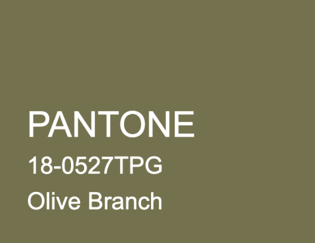 100% cashmere 深治綠毛衣